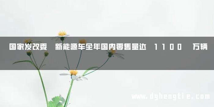 国家发改委 新能源车全年国内零售量达 1100 万辆